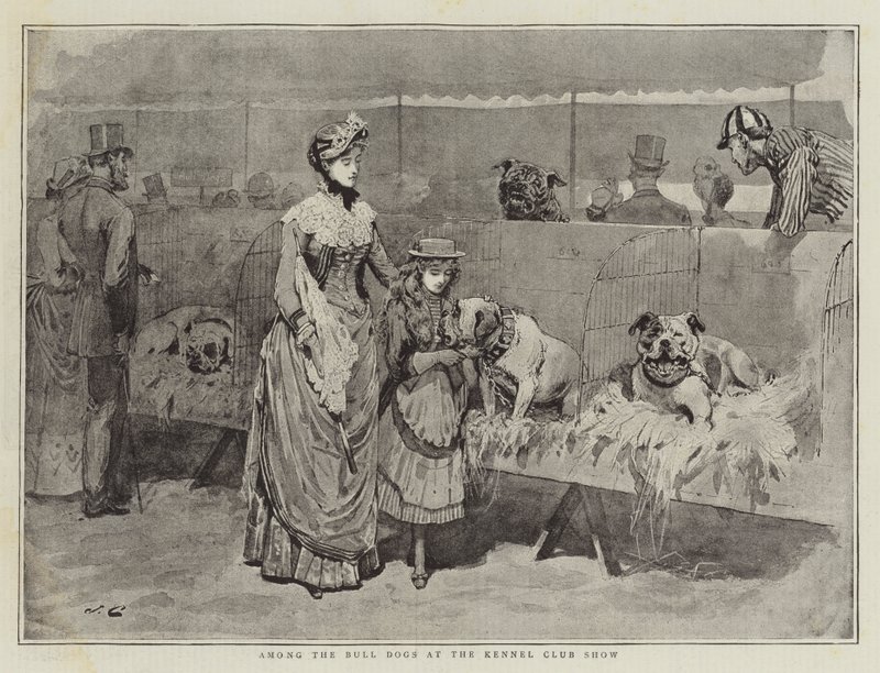 Onder de Bulldogs op de Kennel Club Show door John Charles Dollman