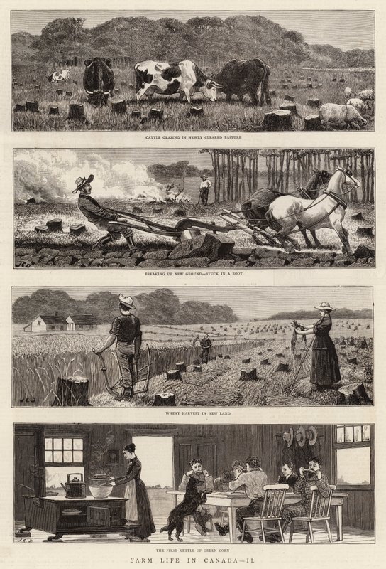 Boerenleven in Canada, II door John Charles Dollman