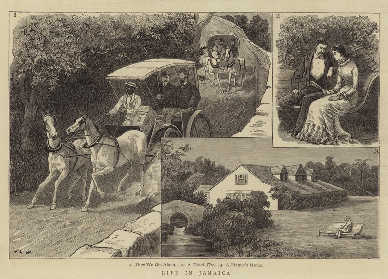 Leven in Jamaica door John Charles Dollman