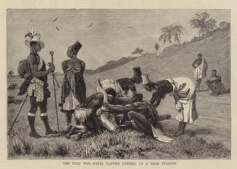 De Zoeloe Oorlog, Natal Kaffers snijden een Dode Stier in stukken door John Charles Dollman