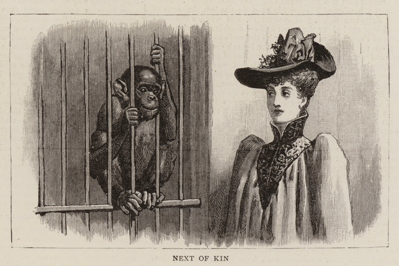 Zwerftochten in de dierentuin door John Charles Dollman
