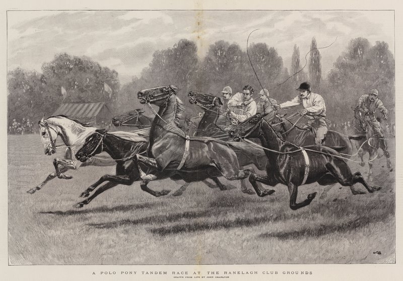 Een Polo Pony Tandem Race op het Ranelagh Club Terrein door John Charlton