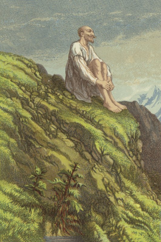Don Quichot op de Sierra Morena doet boetedoening (chromolitho) door John Gilbert