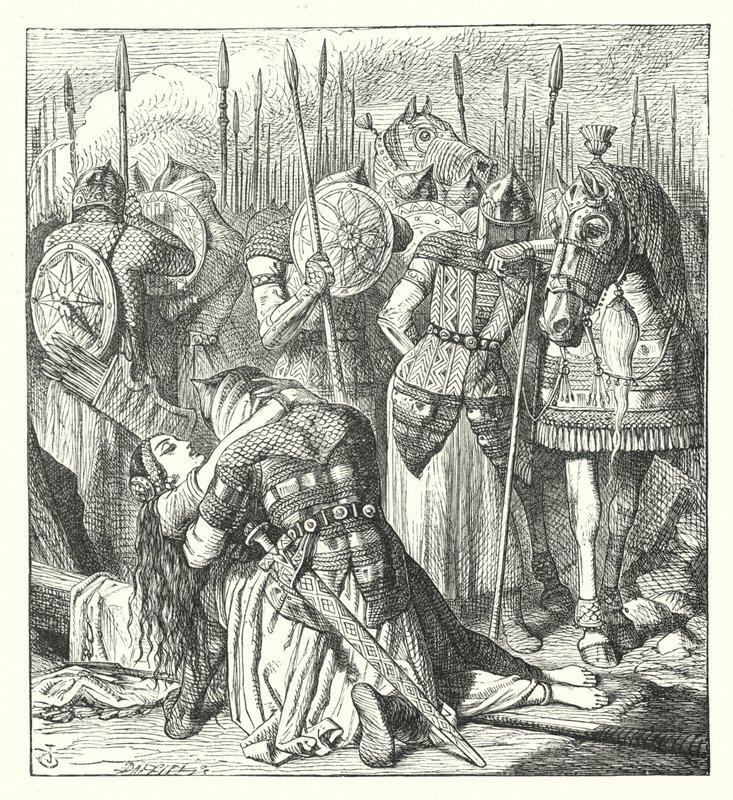 Een Tataarse Overval door John (after) Tenniel