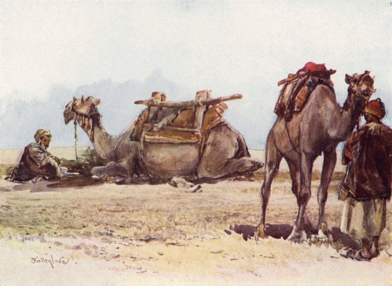 Studie van kamelen en begeleiders door John Fulleylove