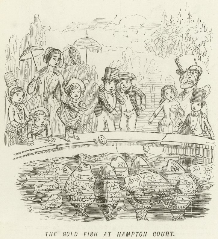 De Goudvis in Hampton Court door John Leech