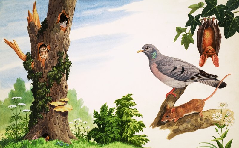 De dode boom door John Rignall
