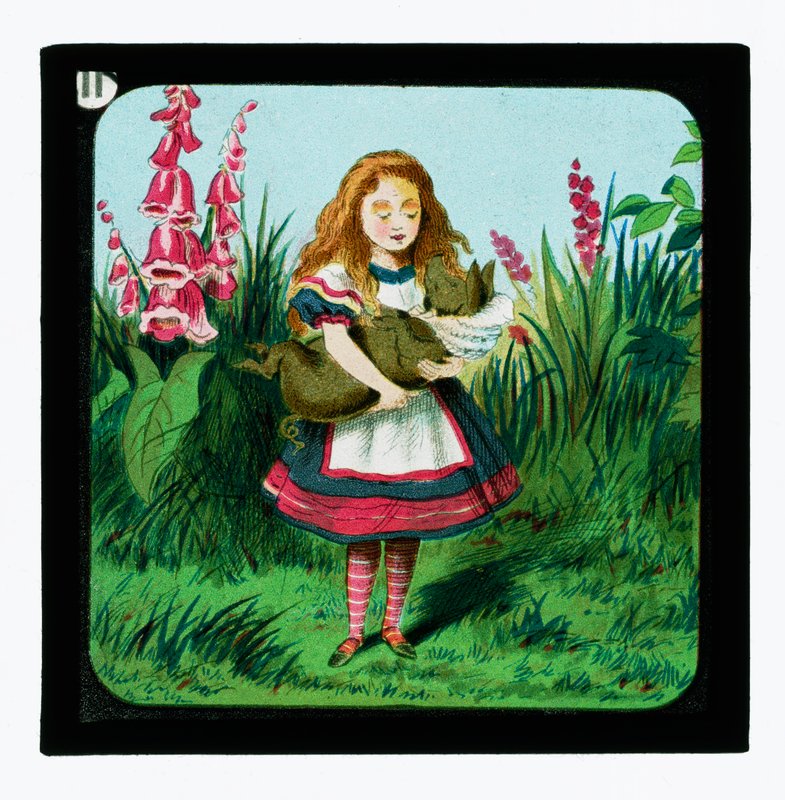 Alice in Wonderland, gekleurde lantaarnplaten door John Tenniel