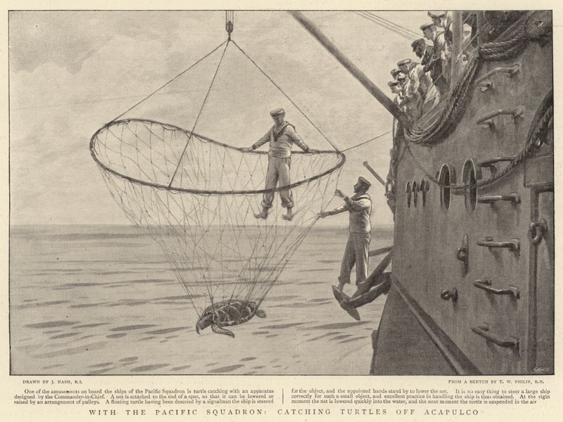 Met het Pacific Squadron, schildpadden vangen bij Acapulco door Joseph Nash
