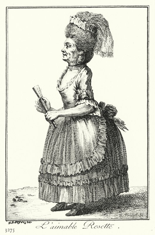 De mooie Rosette door Joseph Franz von (after) Goez