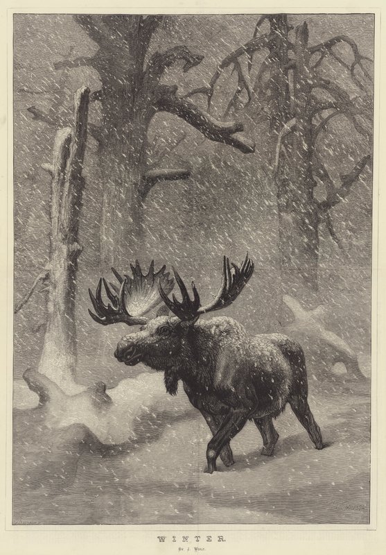 Winter door Joseph Wolf