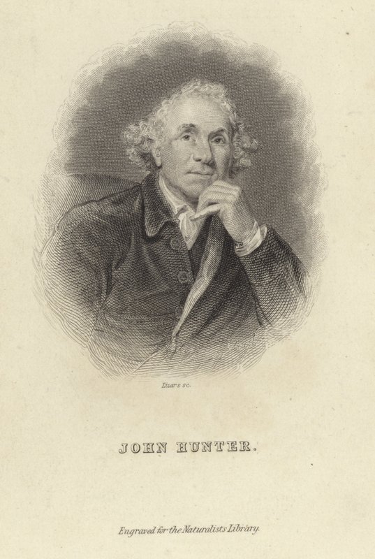 John Hunter door Joshua Reynolds