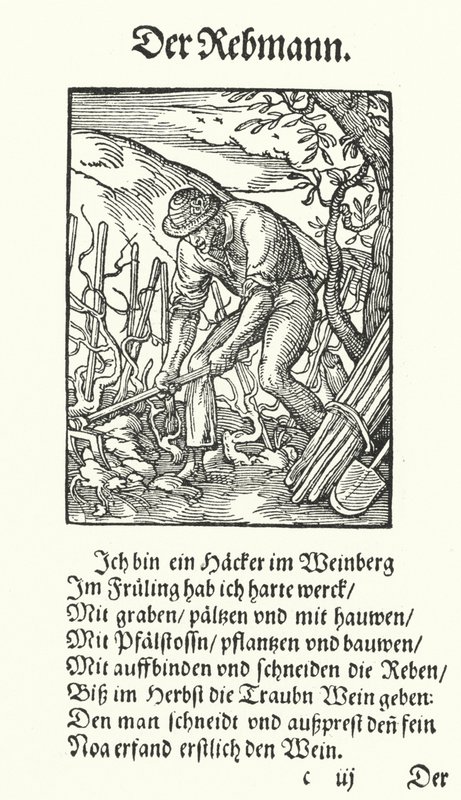 De wijnbouwer door Jost (after) Amman