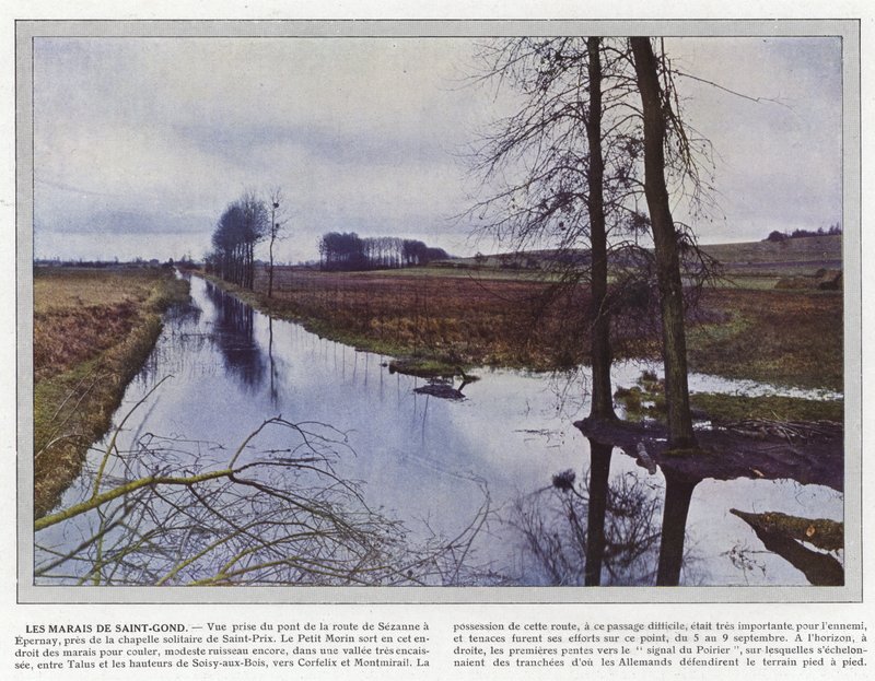 Les Marais de Saint-Gond door Jules Gervais Courtellemont