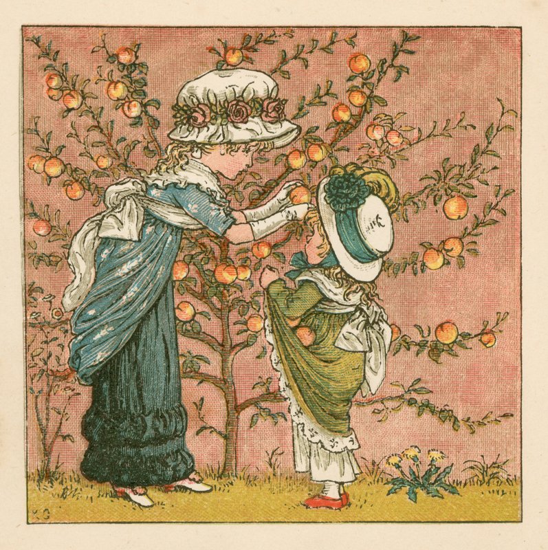 Perziken plukken door Kate Greenaway