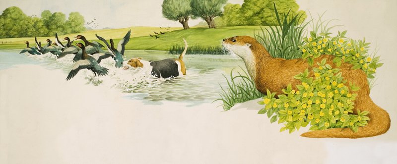 Een otter kijkt naar een hond die op eenden jaagt door Kenneth Lilly