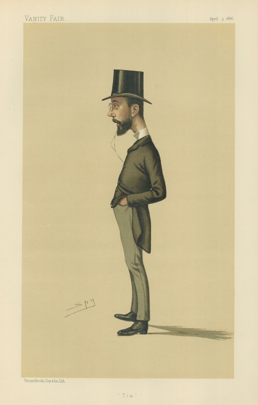 Mr Timothy Michael Healy door Leslie Matthew Ward
