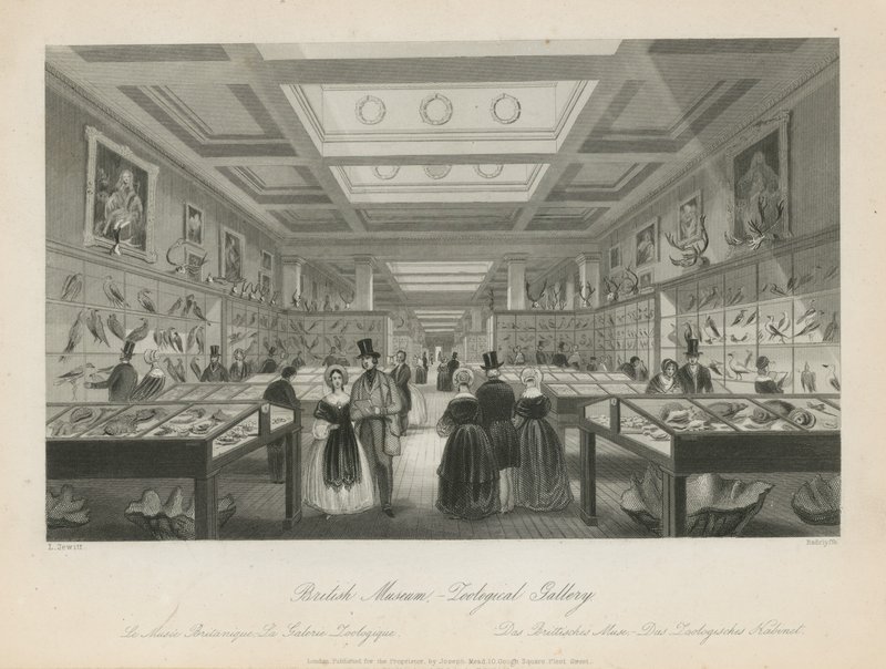 Zoologische Kamer in het British Museum door Llewellyn Jewitt