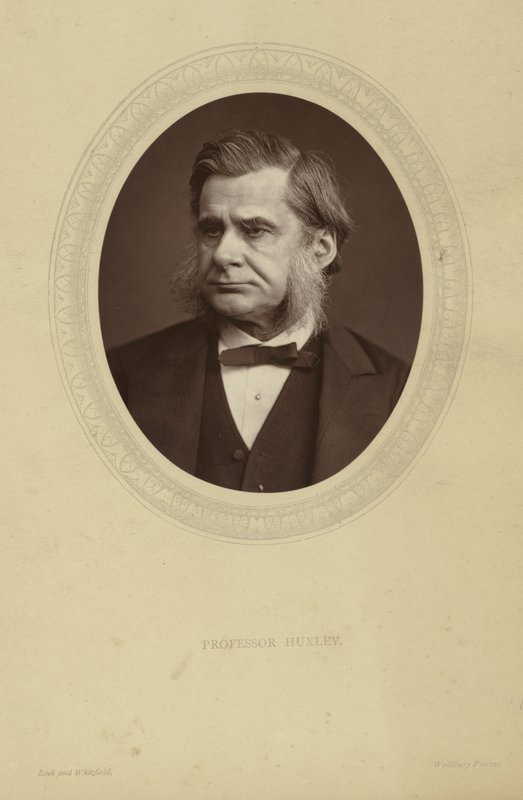 Portret van Thomas Henry Huxley door Lock and Whitfield