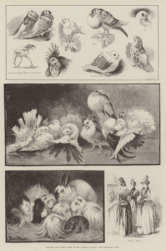 Pluimvee- en duivententoonstelling in het Crystal Palace door Louis Wain