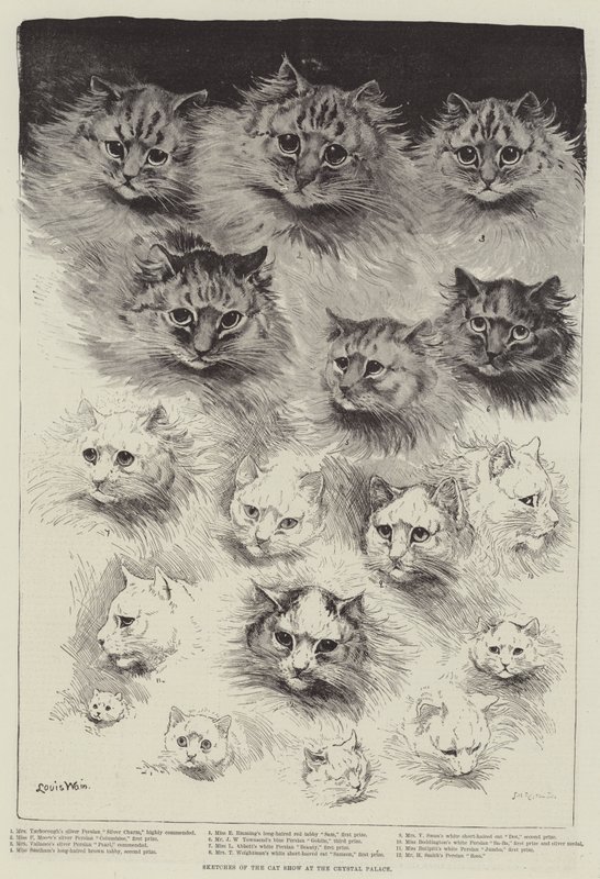 Schetsen van de Katten Show in het Crystal Palace door Louis Wain