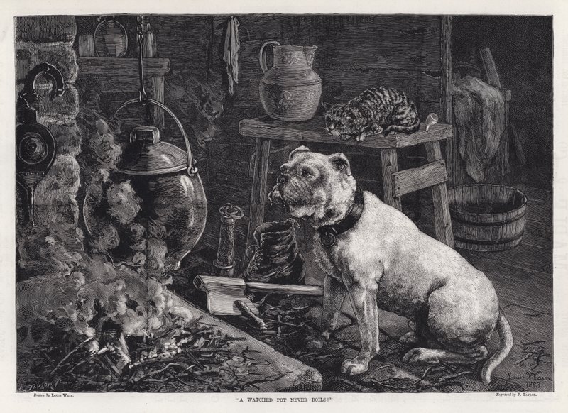Een geobserveerde pot kookt nooit! (gravure) door Louis Wain