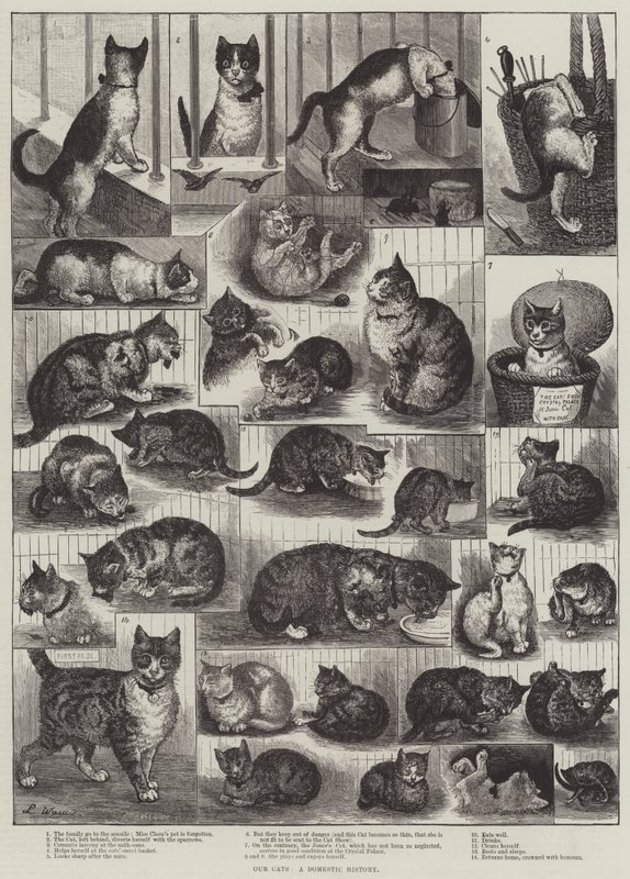 Onze Katten, een Huiselijke Geschiedenis door Louis Wain