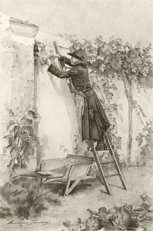 Abbe Constantin (gravure) door Madeleine Lemaire
