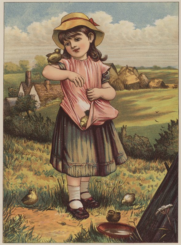 Meisje met kuikens door Mary Ellen Edwards