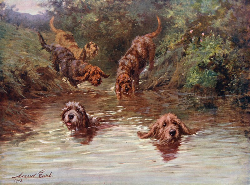 Naar het water door Maud Earl