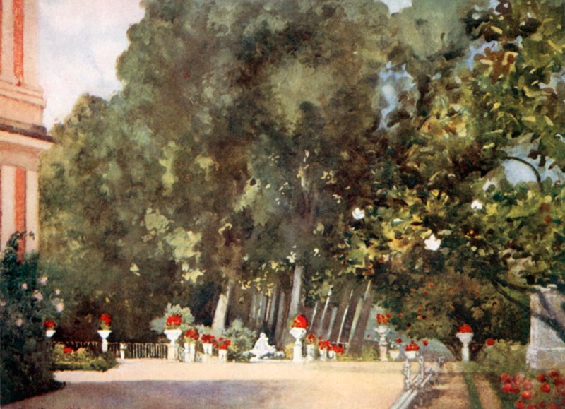 De magnoliaboom, Aranjuez door Mima Nixon