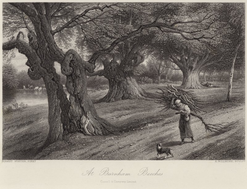 Bij Burnham Beeches door Myles Birket Foster