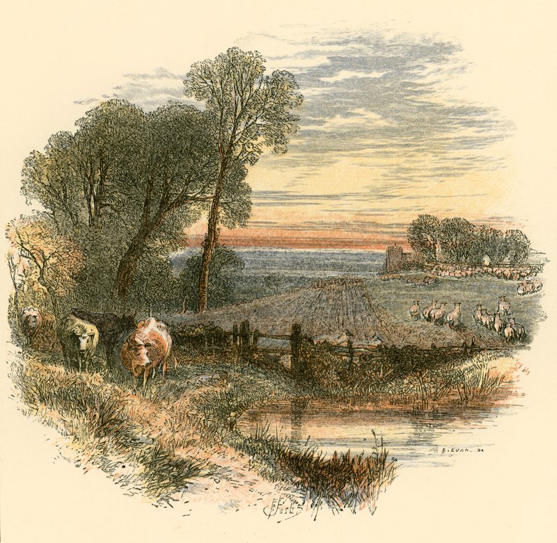 Zondag door Myles Birket Foster