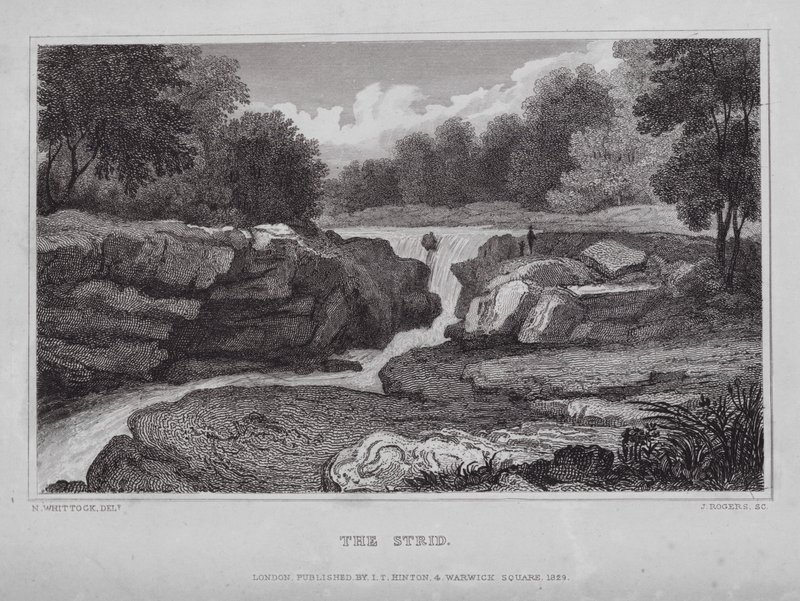 The Strid door Nathaniel (after) Whittock