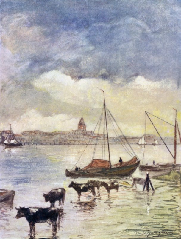 De rivier Ysel door Nico Jungman