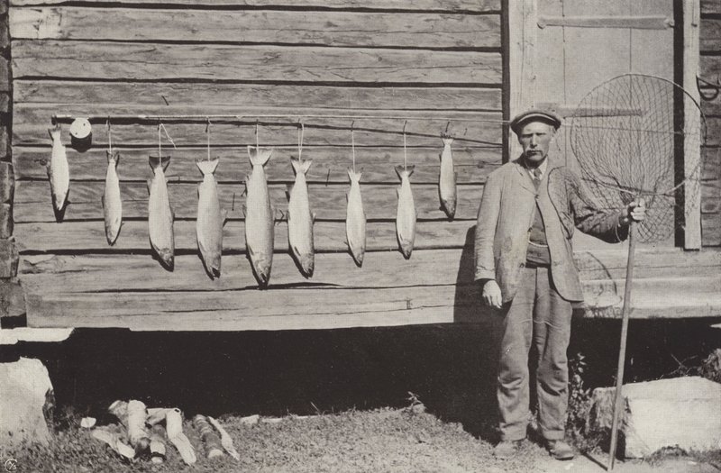 Vissen op forel door Norwegian Photographer