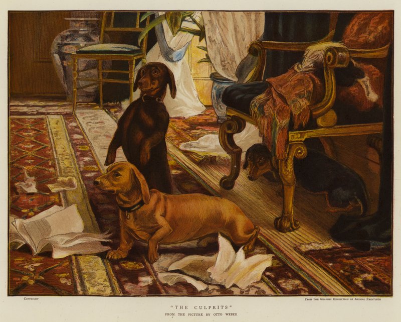 De schuldigen door Otto Weber