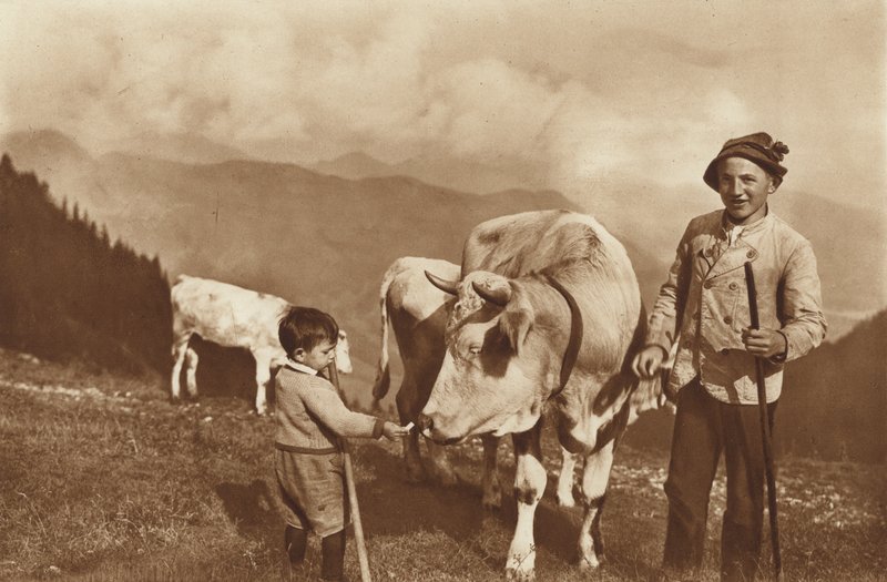Op de Alp door Otto Ballerstedt