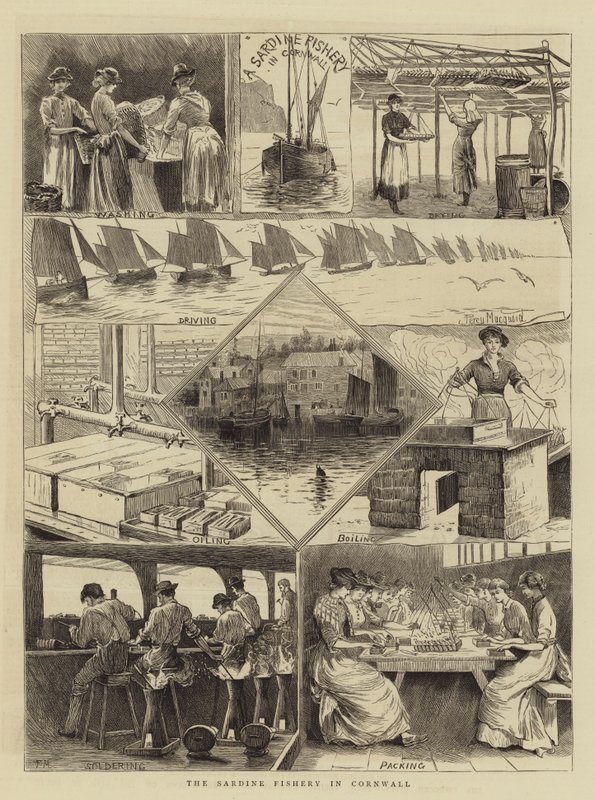 De sardinevisserij in Cornwall door Percy Macquoid
