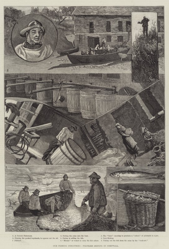Onze visserij-industrieën, Pilchard Seining in Cornwall door Percy Robert Craft