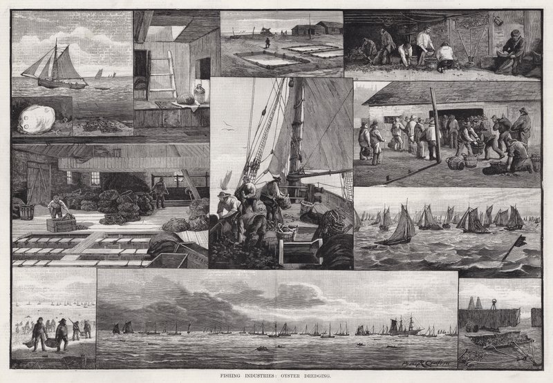 Visserij-industrieën, oestervissen door Percy Robert Craft