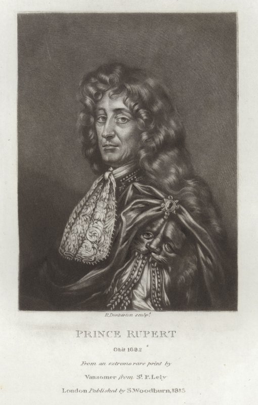 Prins Rupert door Peter Lely