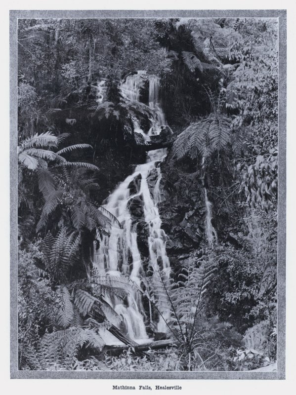 Mathinna-watervallen, Healesville door Photographer Australian