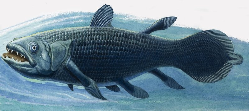 Coelacanth door R.B. Davis