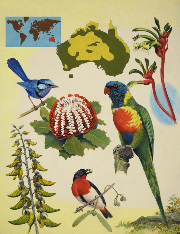 Wilde dieren in Australië door R.B. Davis