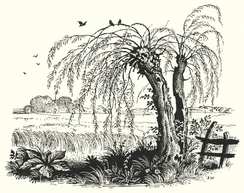Hans Christian Andersen: De Boekweit door Rex (after) Whistler