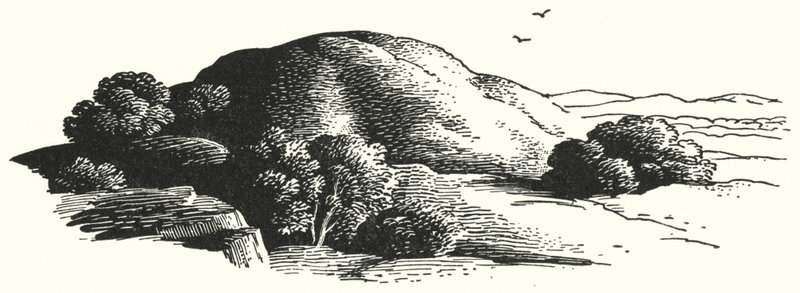 Hans Christian Andersen: De Elfenheuvel door Rex (after) Whistler