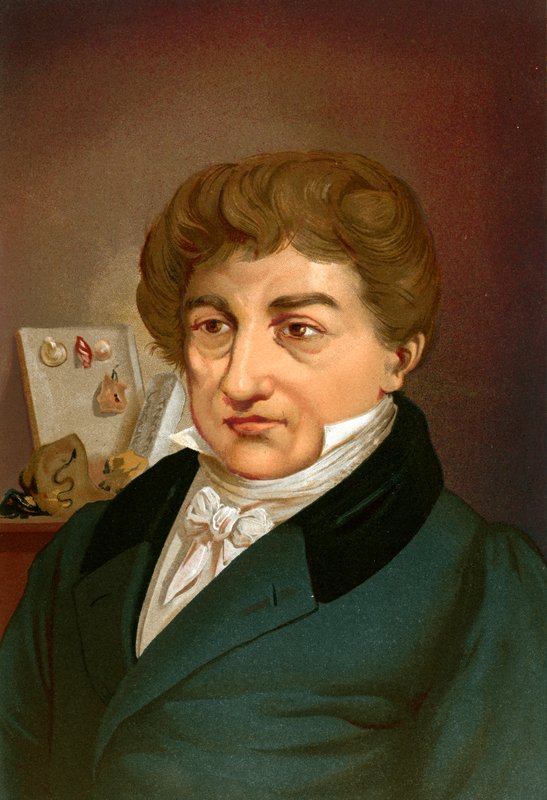Georges Cuvier door Ricardo Marti