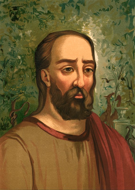Plinius de Oudere door Ricardo Marti