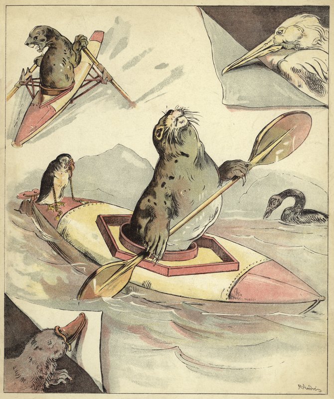 Zeehond kanoën door Richard Andre